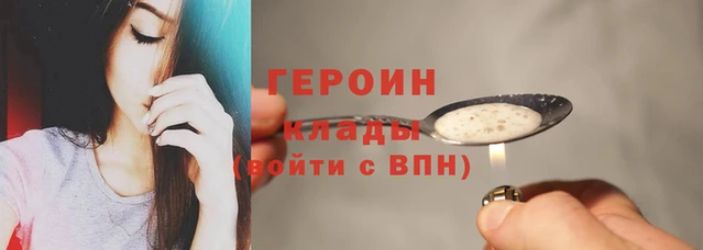 прущие грибы Бронницы